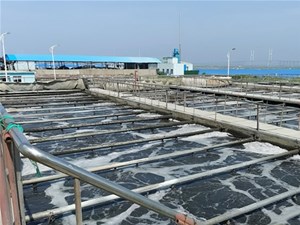 工业废水处理的两种常见处理方法